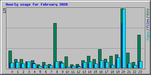 Hourly usage for February 2020